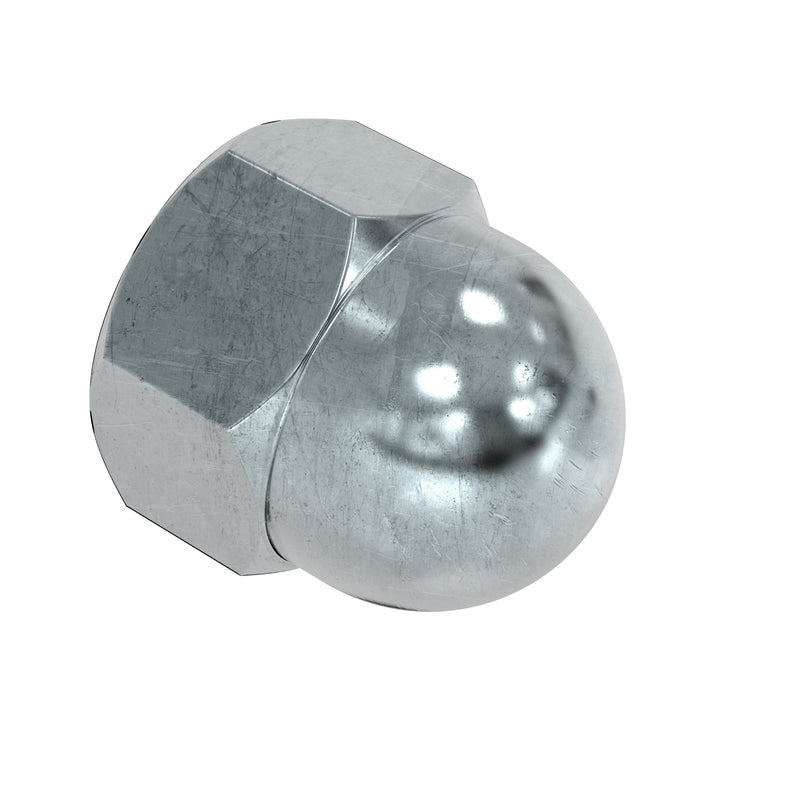 Dome Nut (316SS)