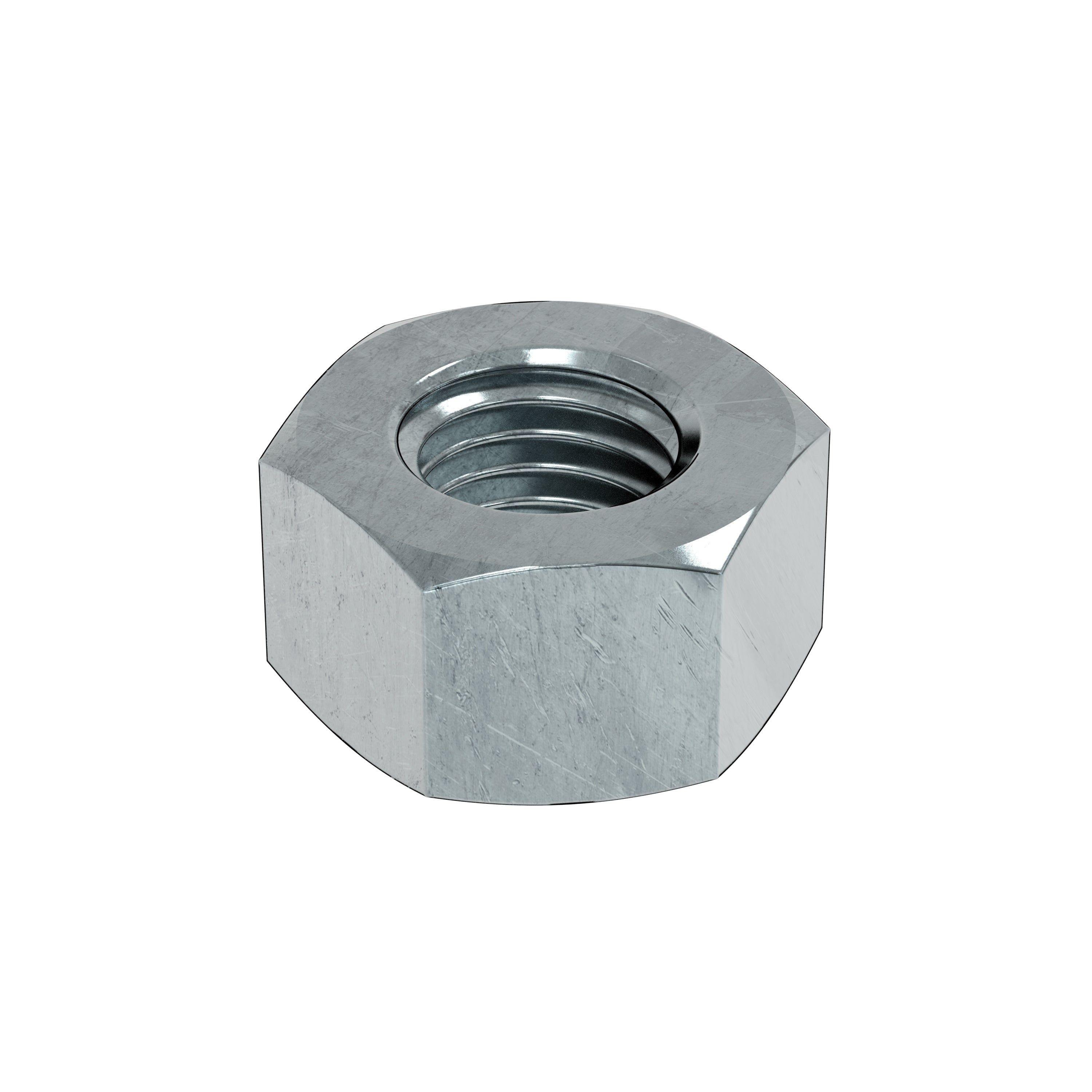 Hex Nut (316SS)