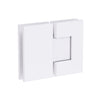 Shower Hinge Glass to Glass 180 Deg